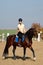 Young horsewoman riding on brown horse in paddok outdoors, copy space.