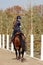 Young horsewoman riding on brown horse in paddok outdoors, copy space.