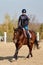 Young horsewoman riding on brown horse in paddok outdoors, copy space.