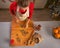 Young housewife chopping walnuts