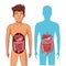 Young human body anatomy