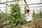 Young indian farmer inspecting crop from his poly house or greenhouse, modern organic farming, agriculture concept,