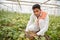 Young indian farmer inspecting or harvesting unripe muskmelon or sugar melon from his poly house or greenhouse, modern organic