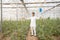 Young indian farmer standing with open arms at his poly house or greenhouse, agriculture business and rural prosperity concept.