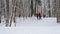 Young inexperienced skiers go down a hill on piste