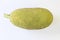 Young Jack fruit isolated