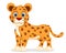 Young Jaguar stands on a white background. Character