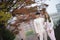 Young japanese couple in love stand together under autumn trees