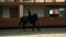 young jockey girl doing circles in big hall while trainer monitor