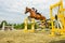 Young Jockey on horse at regional competition  jumping over obstacle