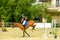 Young Jockey on horse at regional competition  jumping over obstacle