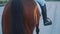 Young Jockey Riding On Dark bay Horseback In The Arena During The Evening