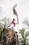 Young joyful woman is posing on the tree stump with waving scarf