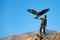 Young kazakh eagle hunter with his golden eagle