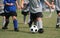 Young Kids Playing Soccer