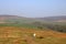 Young lady on footpath, moorland, Nicky Nook Fell