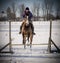 Young lady jumping her horse in winter