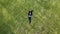 Young lady laying in the grass