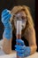Young lady scientist with gloves and glasses pours liquid with dropper in graduated cylinder