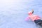 Young lady snorkeling in a tropical sea at phuket thailand