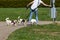 young lady walking with her dogs