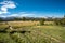 Young Lakes Trail Cuts Across Alpine Meadow