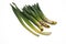 Young lanceolate leaves early spring plant Eremurus used in food