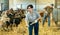 Young latin-american female farmer cleaning goat shed