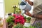 Young latin man florist watering plant at flower shop