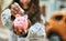 Young latin woman smiling happy saving euro coin in the piggy bank at the city