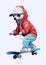 Young leisure snowboard winter skate lifestyle boy vacation sport extreme active person child