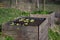 Young lettuce plants in a raised bed made of weathered wood, vegetable cultivation in a rural country garden, copy space