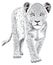 young lion animal vector illustration transparent background