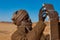 Young local man from Chad is making a photo by using tablet. In the backgroung dunes of Sahara.