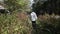 Young lonely man walking deep into forest among dense vegetation and bushes. Footage. View of man from back walking on