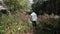 Young lonely man walking deep into forest among dense vegetation and bushes. Footage. View of man from back walking on