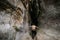 A young male amateur speleologist enters a mountain cave with a backpack