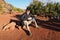 Young male backpacker in the Grand Canyon.