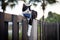 A young male cat with black and white fur relaxed on a garden fence, chilling. Eyes fixed, whiskers twitching a tranquil scene of