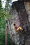 Young male climber climbing with rope and carbines, looking for next grip on a big rocky wall. Summer time. Climbing equipment