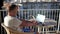 Young male freelancer is working on a laptop while sitting on a balcony