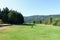 A young male golfer playing alone, standing in the middle of the fairway surrounded by forest, on a beautiful sunny day