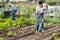 Young male horticulturist with rake cultivate land in garden outdoor