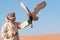 Young male pharaoh eagle owl during a desert falconry show in Dubai, UAE.