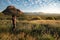 Young male photographer taking photo of sunrise in savanna woodland