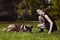 Young male puppy of American Akita dog relaxing with his owner lady