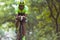 Young male triathlete riding a bicycle on the open road. Professional sportsman is engaged in triathlon on bright summer