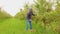 young male worker in an apple orchard farmer picking apples with his hands putting them in a box.