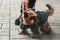 A young male York sits at the feet of the owner. A dog on a walk with a collar and a leash in a suit on a sidewalk of tiles in the