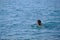 A young man of 25-30 years old swims in the sea  in sunglasses  on the surface there is only a head  brunette  thick hair